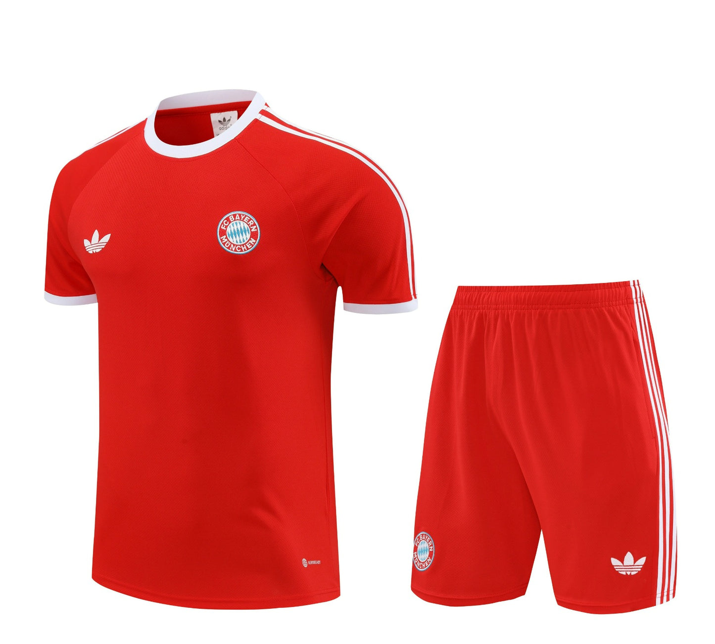 Conjunto FC Bayern München 24-25