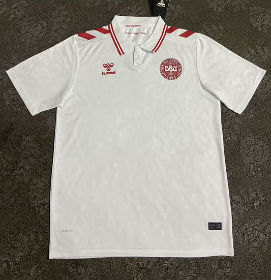 Camiseta Dinamarca 2024